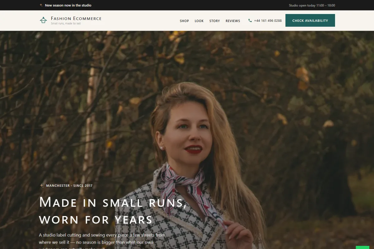 Fashion Ecommerce website template preview